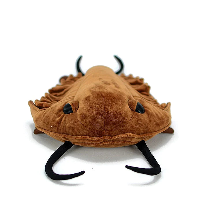 Trilobite (Redlichia) Plush