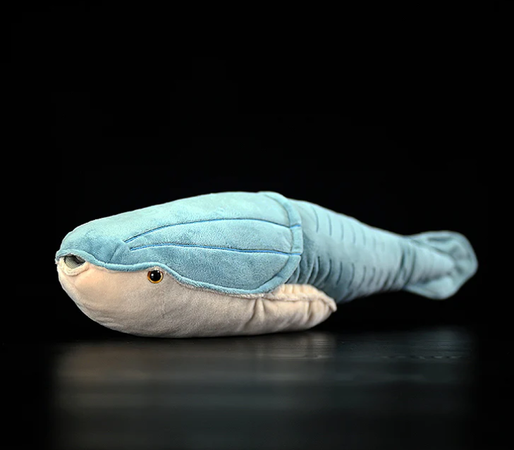 Arandaspis Plush