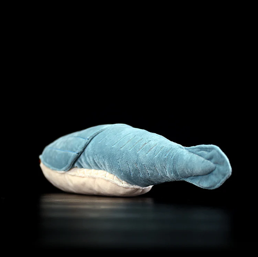 Arandaspis Plush