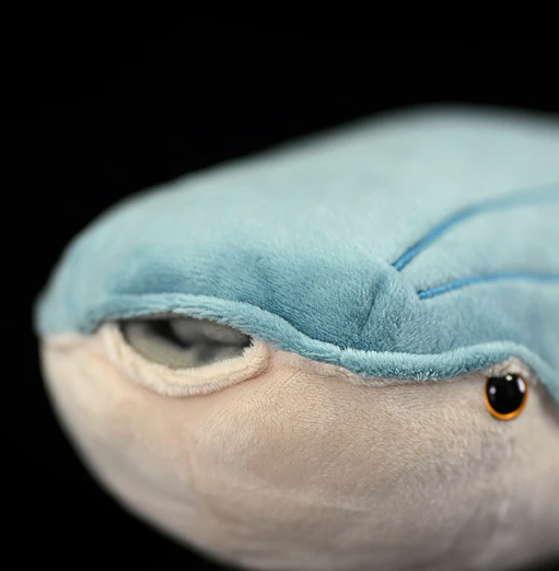 Arandaspis Plush