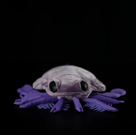 Carcinosoma (Eurypterid) Plush