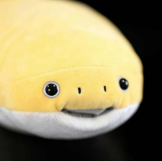 Sacambambaspis Plush
