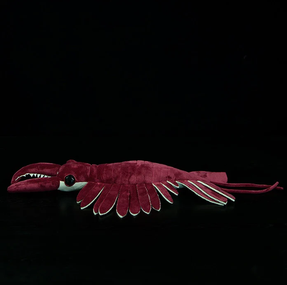 Anomalocaris Plush
