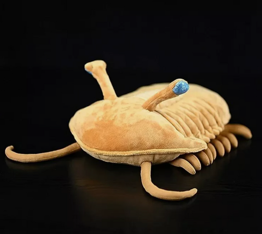 Trilobite (Asaphus Kowalewskii) Plush