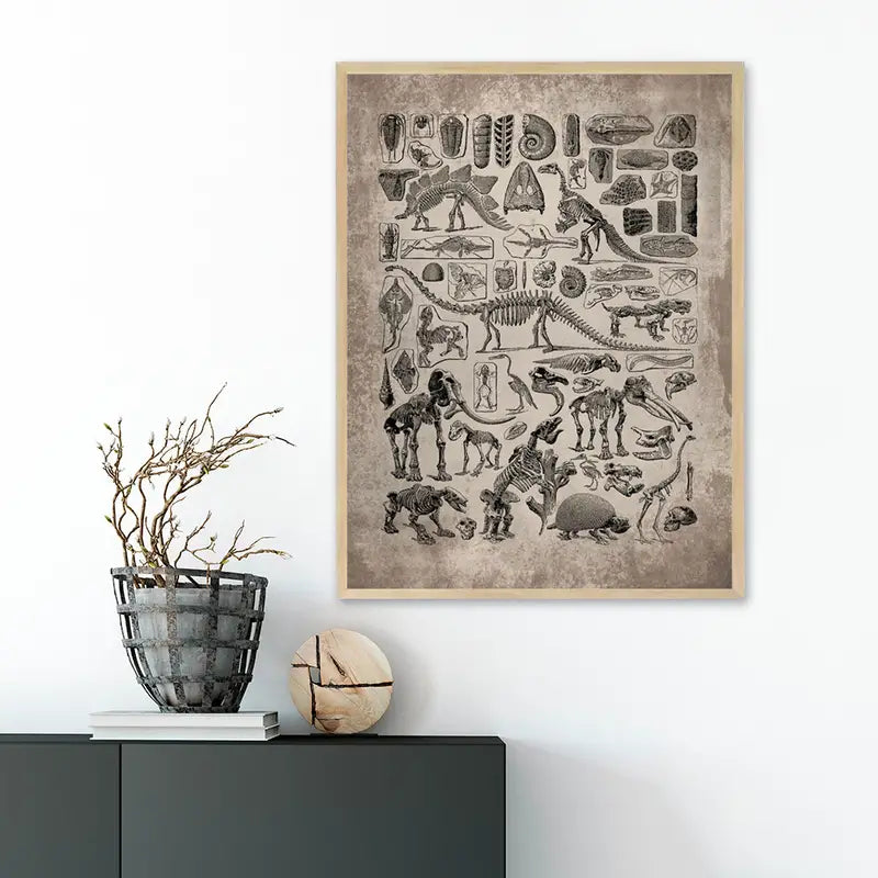 Antique-Style Fossils Wall Poster