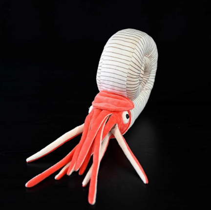 Ammonite Plush