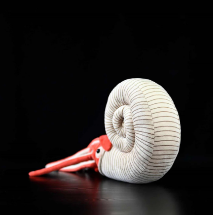 Ammonite Plush