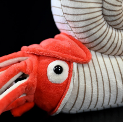 Ammonite Plush