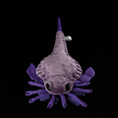 Carcinosoma (Eurypterid) Plush