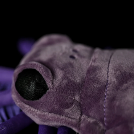 Carcinosoma (Eurypterid) Plush