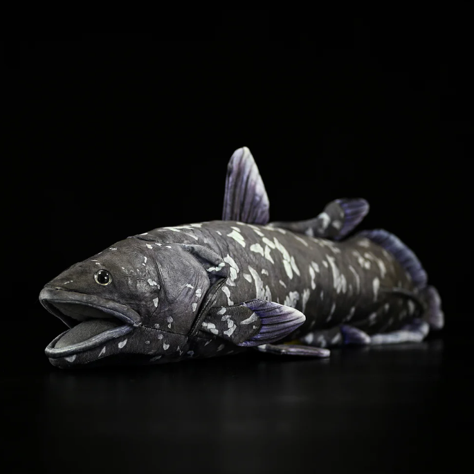 Coelacanth Plush