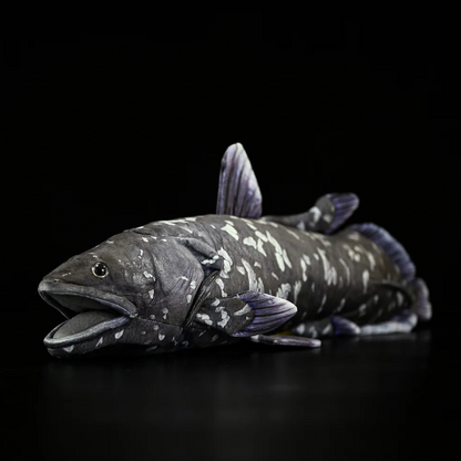 Coelacanth Plush