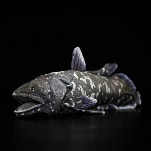 Coelacanth Plush