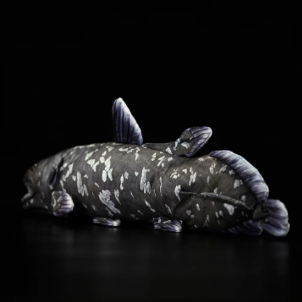 Coelacanth Plush