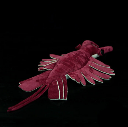 Anomalocaris Plush