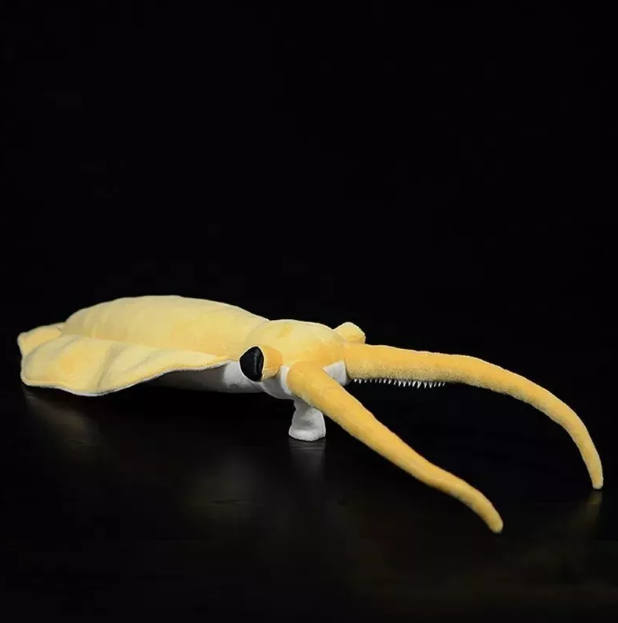 Nectocaris Pteryx Plush